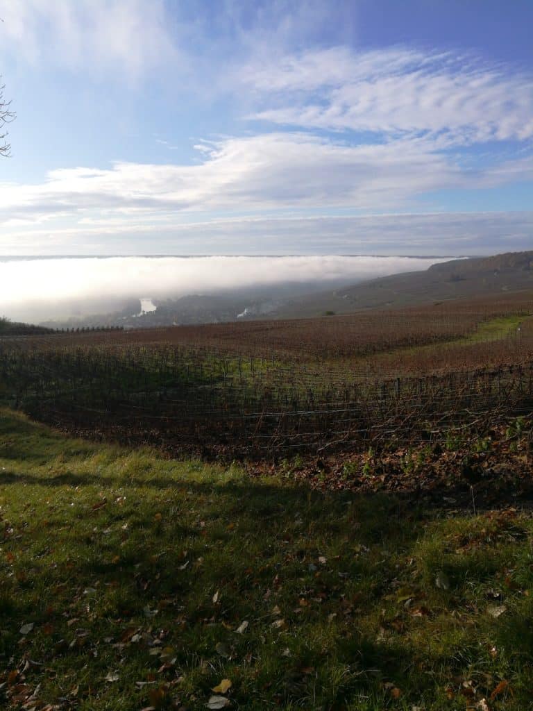 ドン・ペリニヨン(Dom Pérignon)の村オーヴィレールと葡萄畑